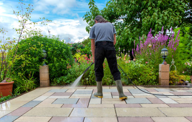 Best Animal Enclosure Cleaning  in South Plainfield, NJ